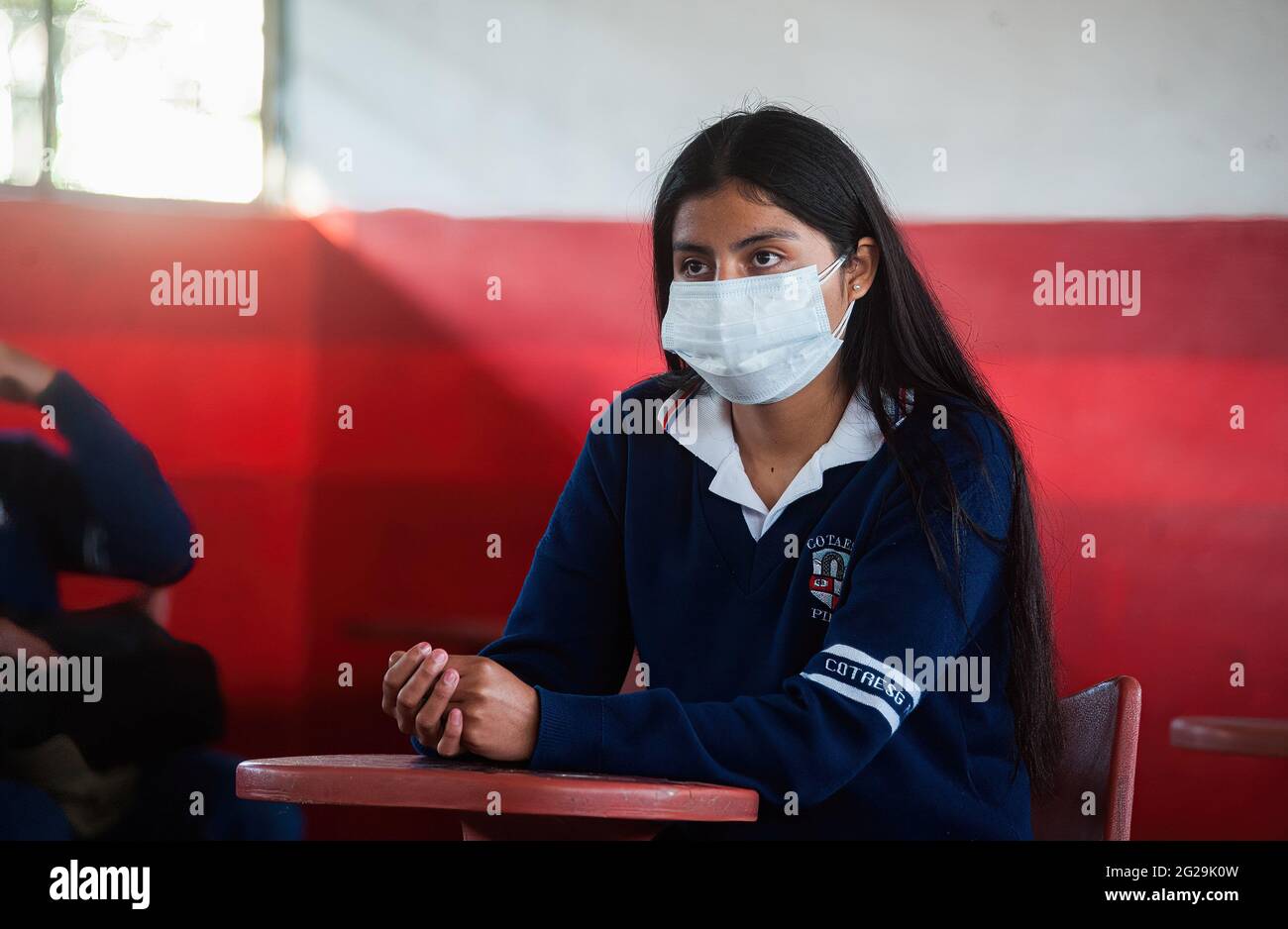 A student wearing a face mask sits in a classroom at the Agricultural Technical School Eduardo Salazar Gomez. Ecuador authorized the return to voluntary classes in private and Fiscal institutions, this is the case of the Agricultural Technical School Eduardo Salazar Gomez in the Pifo parish located in the Northwest of the Capital Quito, in this establishment around 43 students of 1st, 2nd grade have entered and 3rd of Baccalaureate in each classroom the total capacity is up to 12 students respecting social distance, this initiative responds to the need of many of these young people to be able Stock Photo