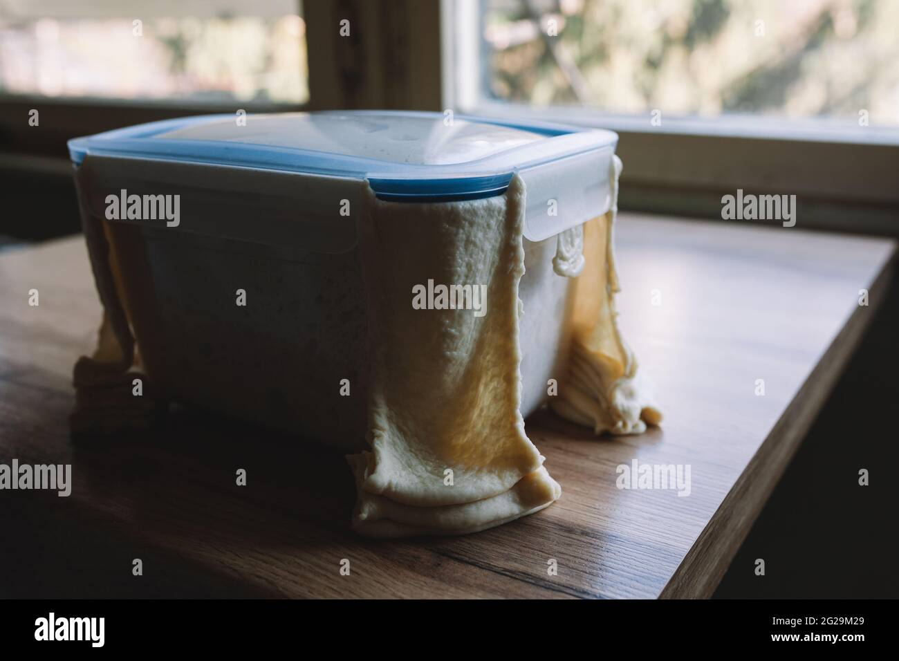 Fresh dough leaking out from closed plastic container, overflowing from