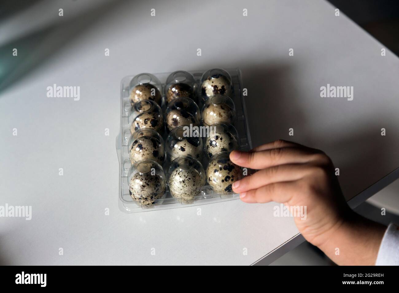Close up of a toddler's hand reaching to a pack of quail eggs Stock Photo