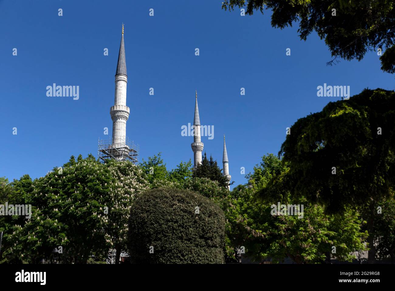 Landscape image of three minarets, one under repair, seen among trees under blue sky. Stock Photo