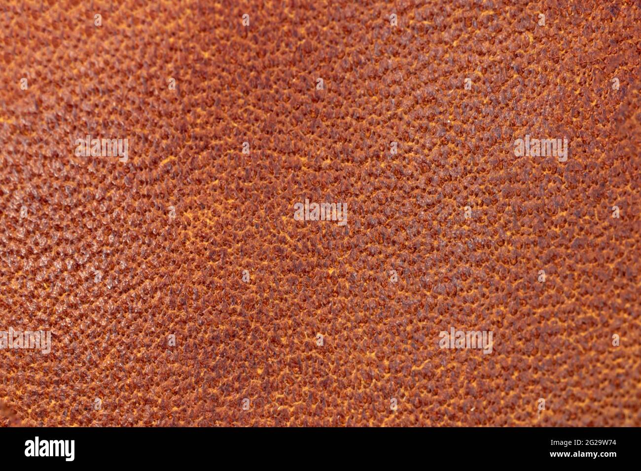 Brown genuine leather texture background high resolution close-up Stock Photo
