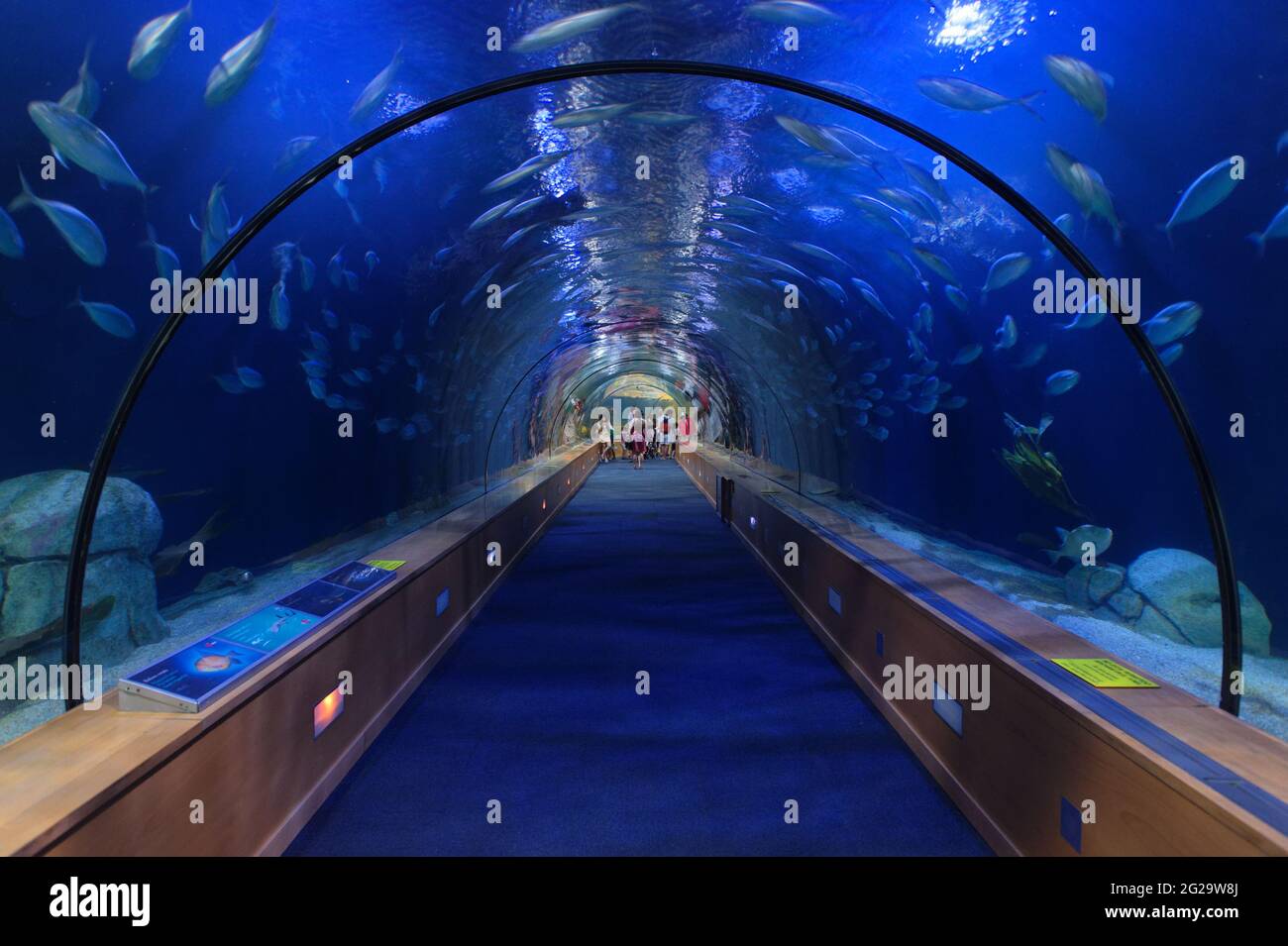 Oceanogràfic de València. The largest aquarium in Europe. Stock Photo