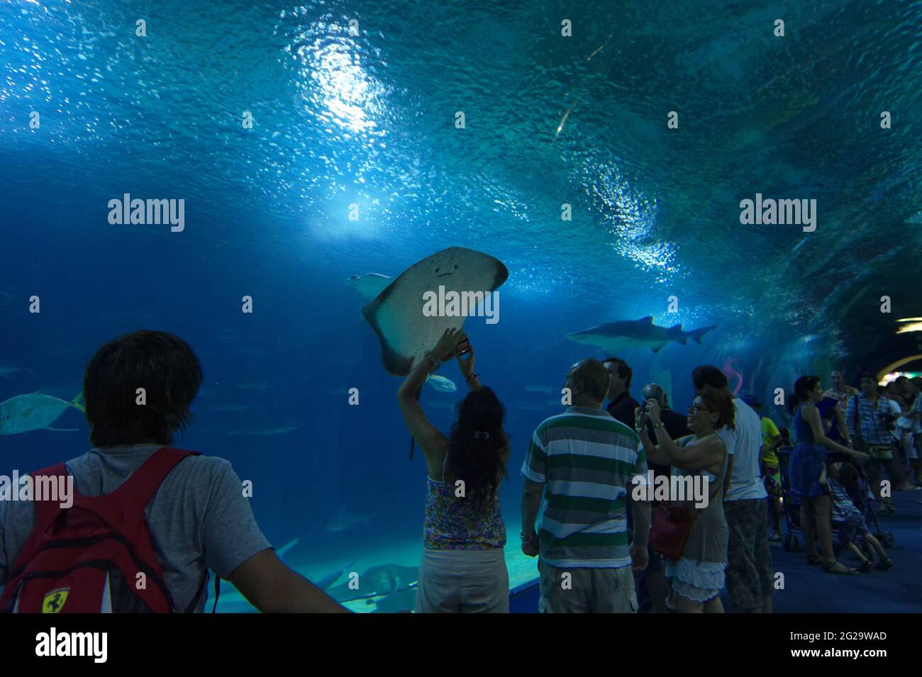 Oceanogràfic of Valencia - the biggest aquarium in Europe Stock Photo