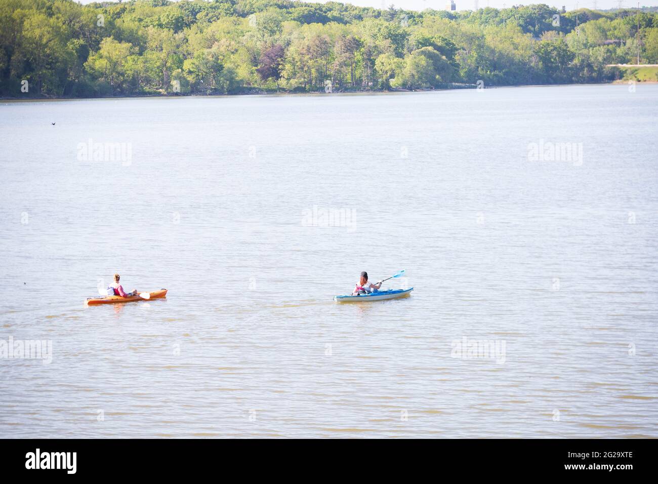 Two unidentified female kayakers are paddling at the Cootes Paradise Sanctuary, Princess Point in Hamilton. Stock Photo