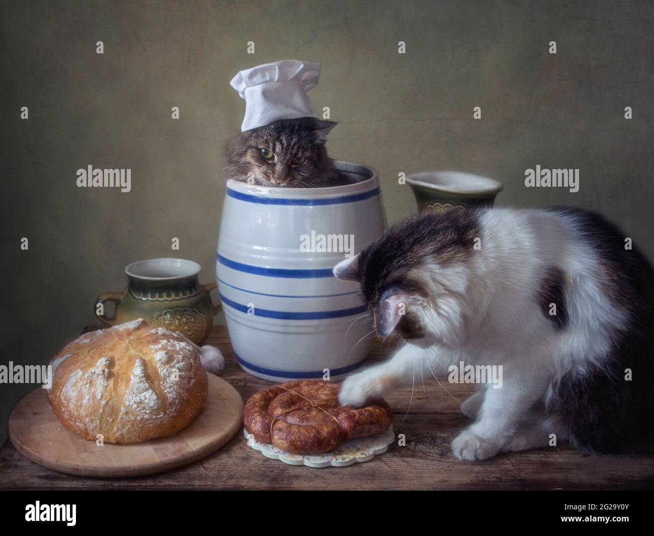 Two cats on the kitchen rustic table Stock Photo Alamy