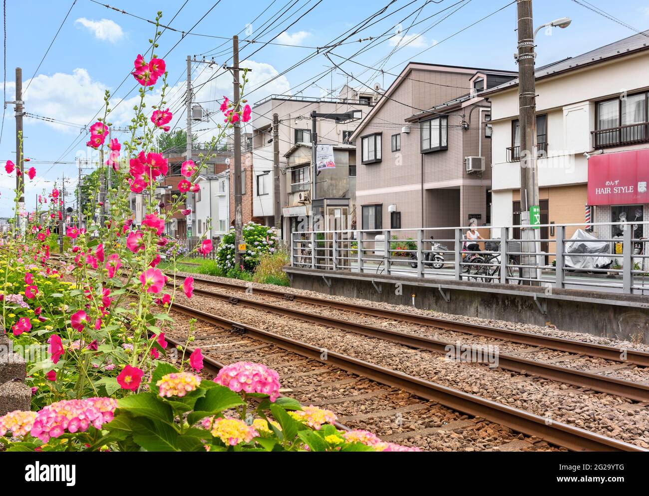tokyo, japan - june 03 2021: Railway of the Tokyu Setagaya Line in Gotokuji district along the Setanukui road borded by hydrangea macrophylla and alce Stock Photo