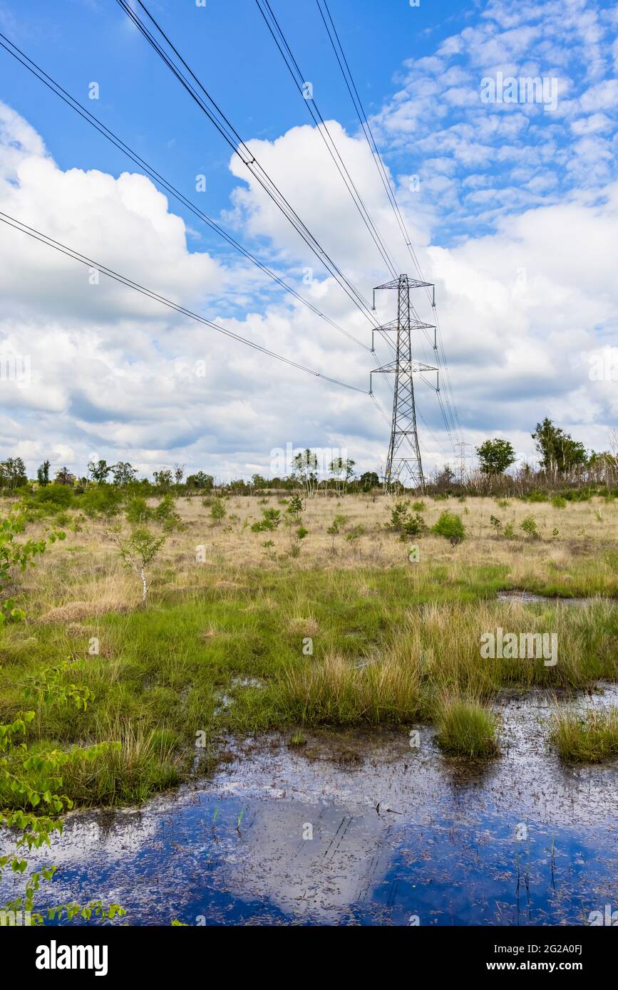 Electricity pylon and overhead transmission cables running through wetlands at Chobham Common near Woking, Surrey, south-east England Stock Photo