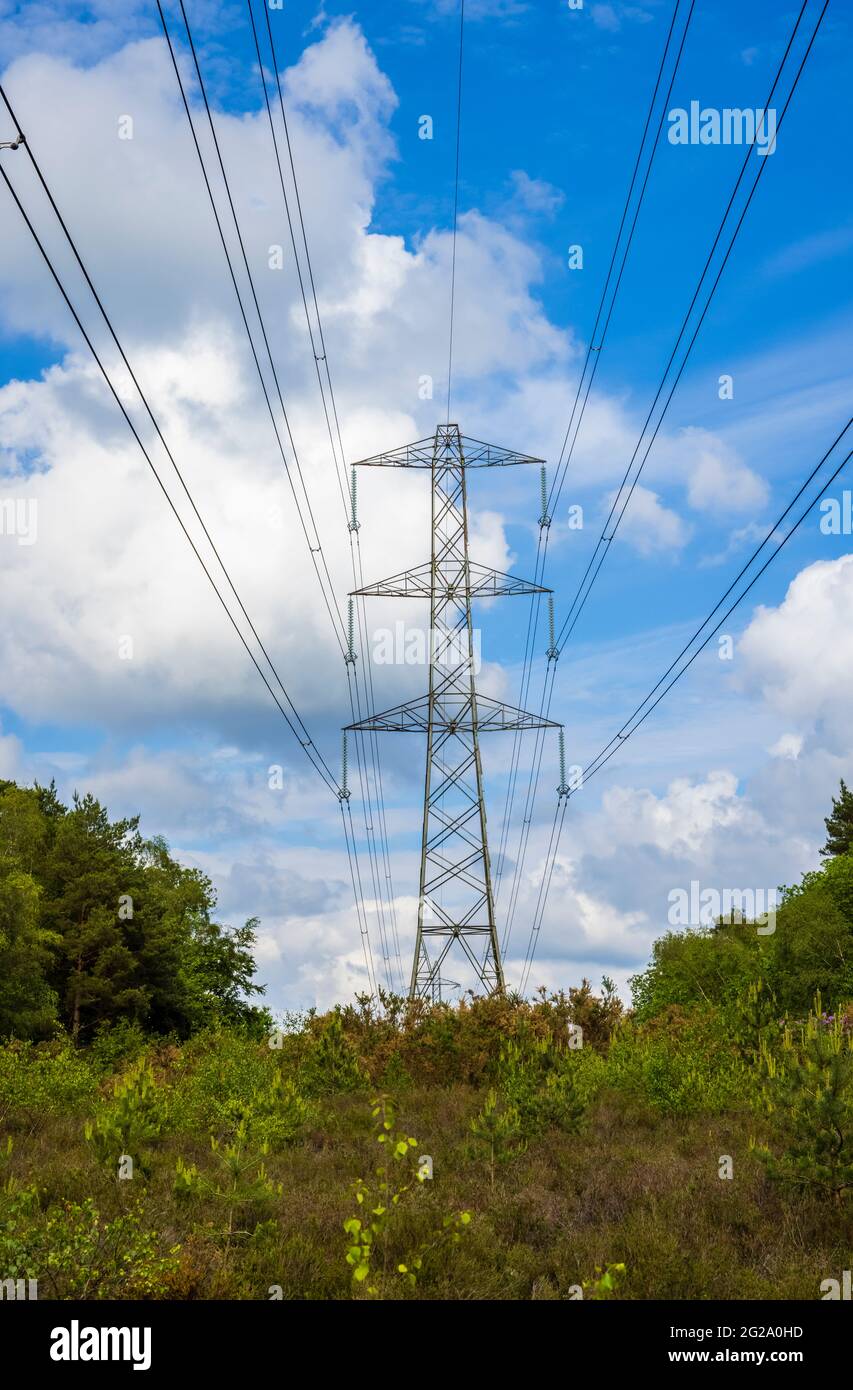 Electricity pylon and overhead transmission cables running through woodland at Chobham Common near Woking, Surrey, south-east England Stock Photo