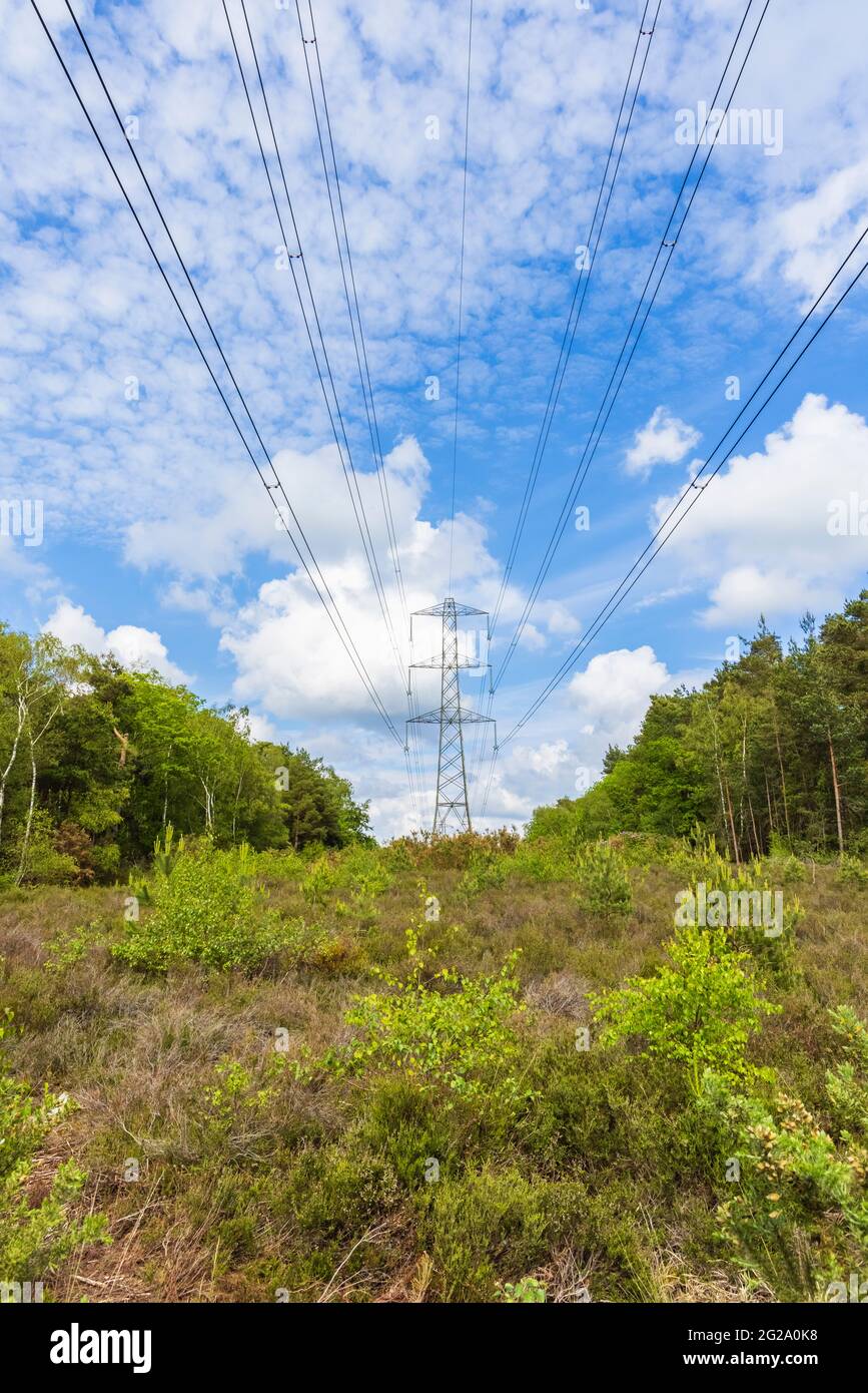 Electricity pylon and overhead transmission cables running through woodland at Chobham Common near Woking, Surrey, south-east England Stock Photo