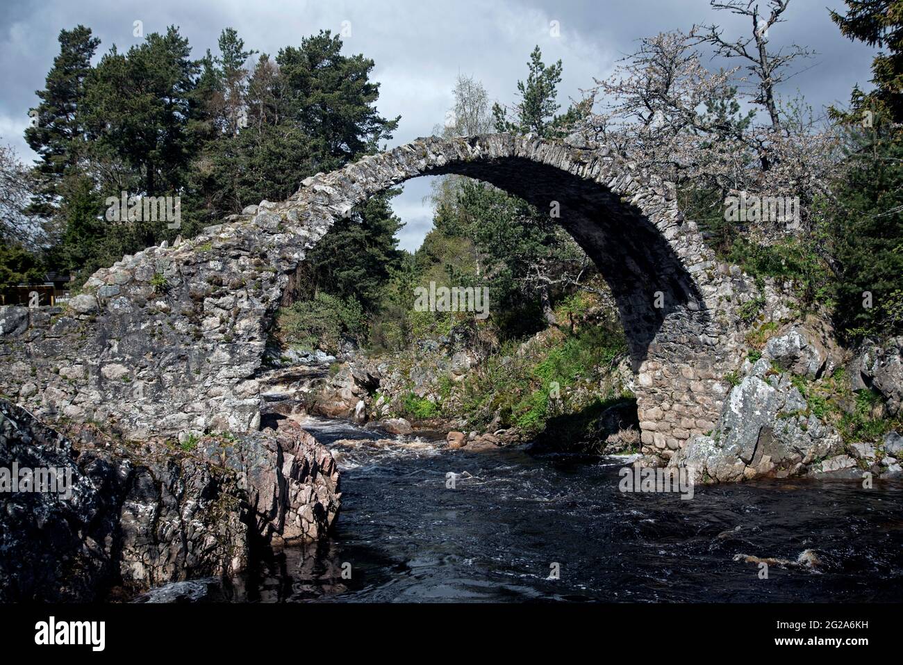 The old 18th century packhorse bridge across the River Dulnain at Carrbridge in the Highlands of Scotland. Stock Photo