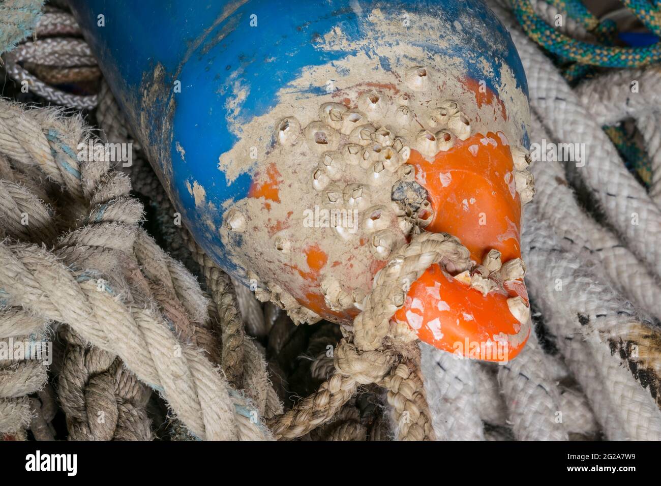 used fisher ropes and buoy Stock Photo Alamy