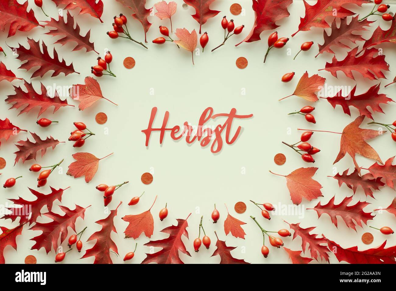 Word Herbst surrounded by assorted, various red Autumn leaves. Paper