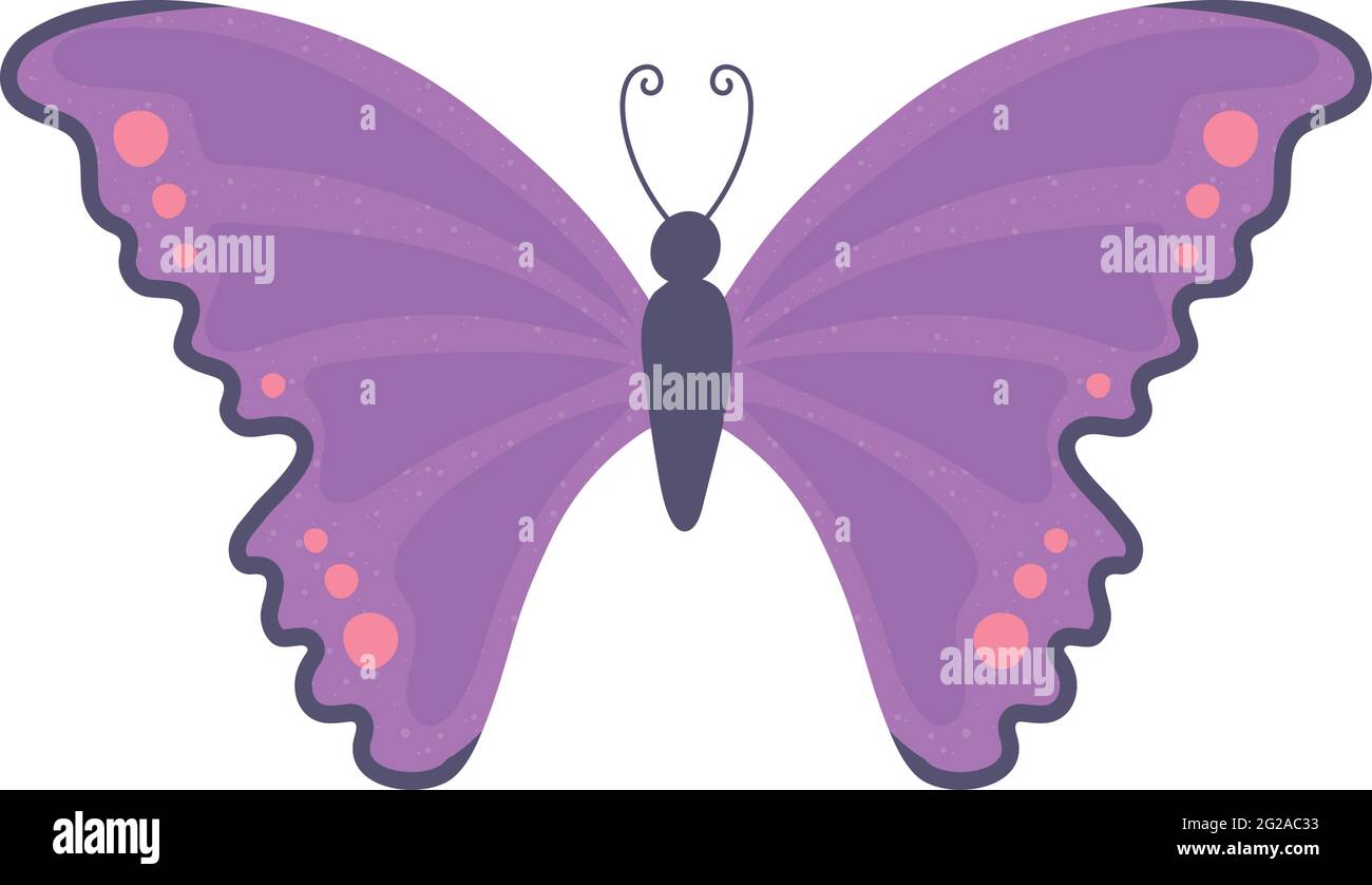 purple butterfly cartoon Stock Vector Image & Art - Alamy