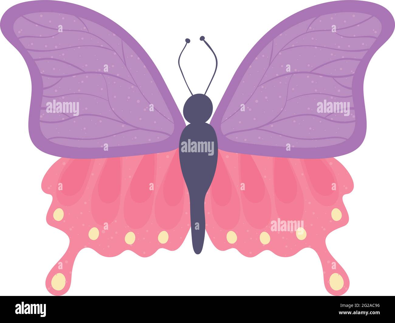 butterfly cute animal Stock Vector Image & Art - Alamy