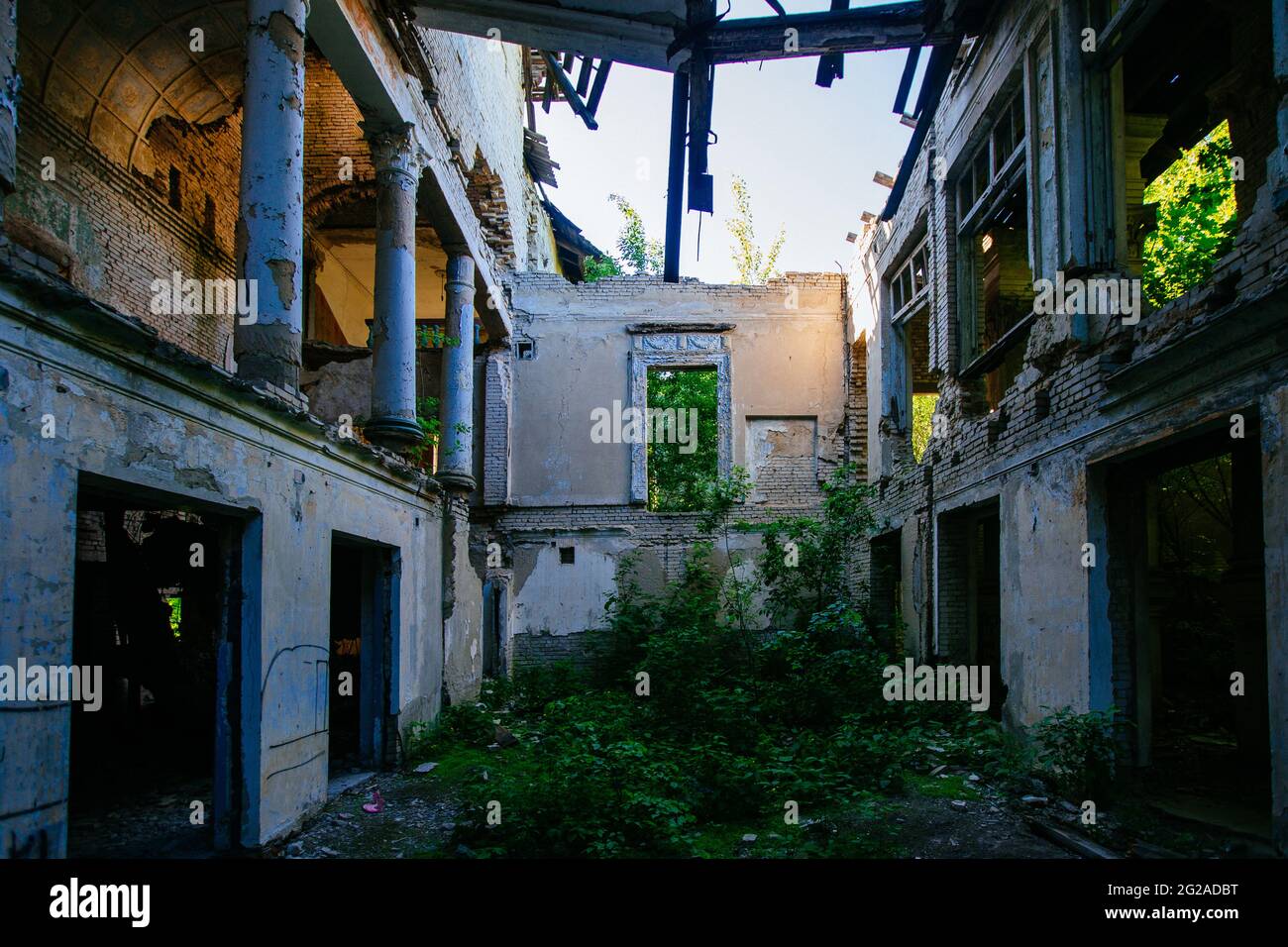 Ruined mansion hall interior overgrown by plants. Nature and abandoned ...