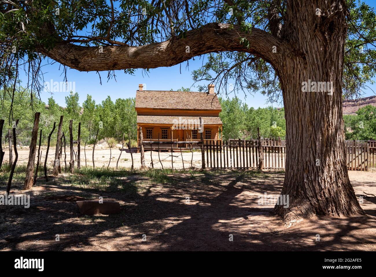 Abanonded home framed by a large tree in the ghost town of Grafton Utah Stock Photo