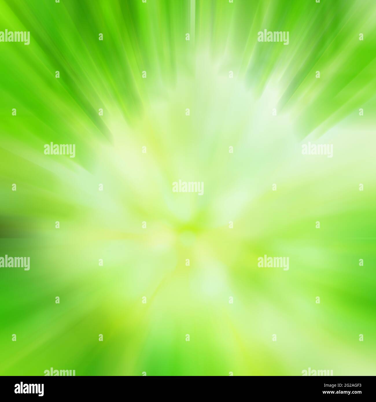 Green abstract background with motion blur effect Stock Photo