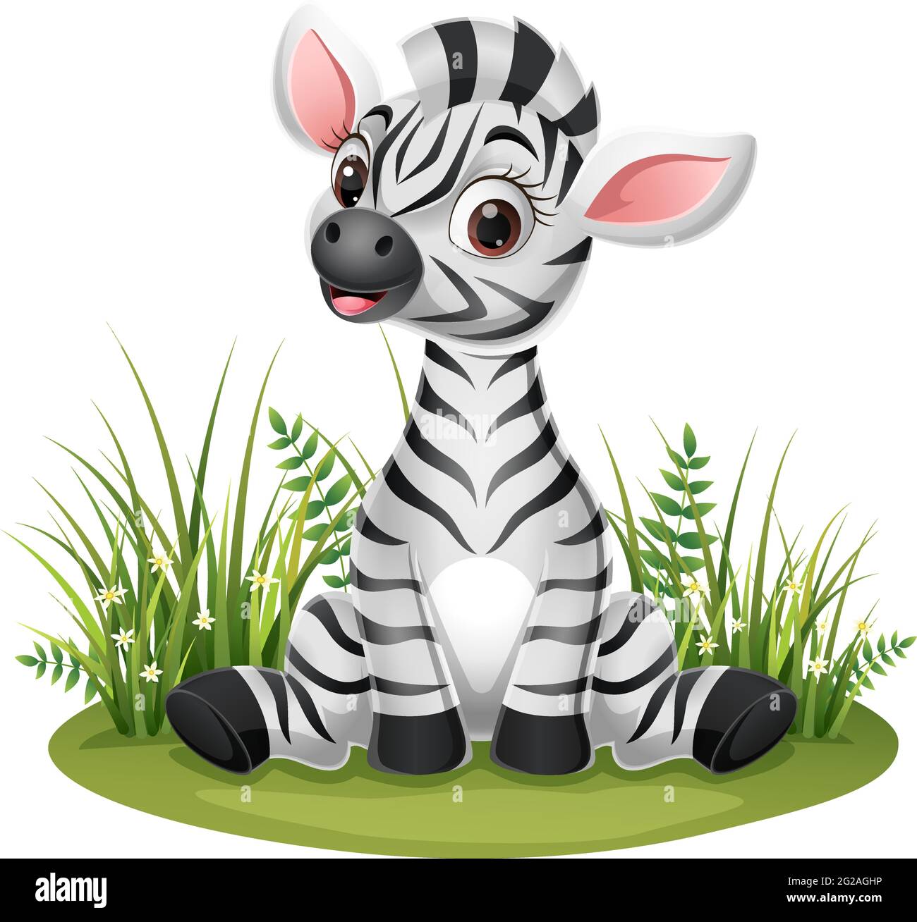 Cartoon baby zebra sitting in the grass Stock Vector Image & Art - Alamy