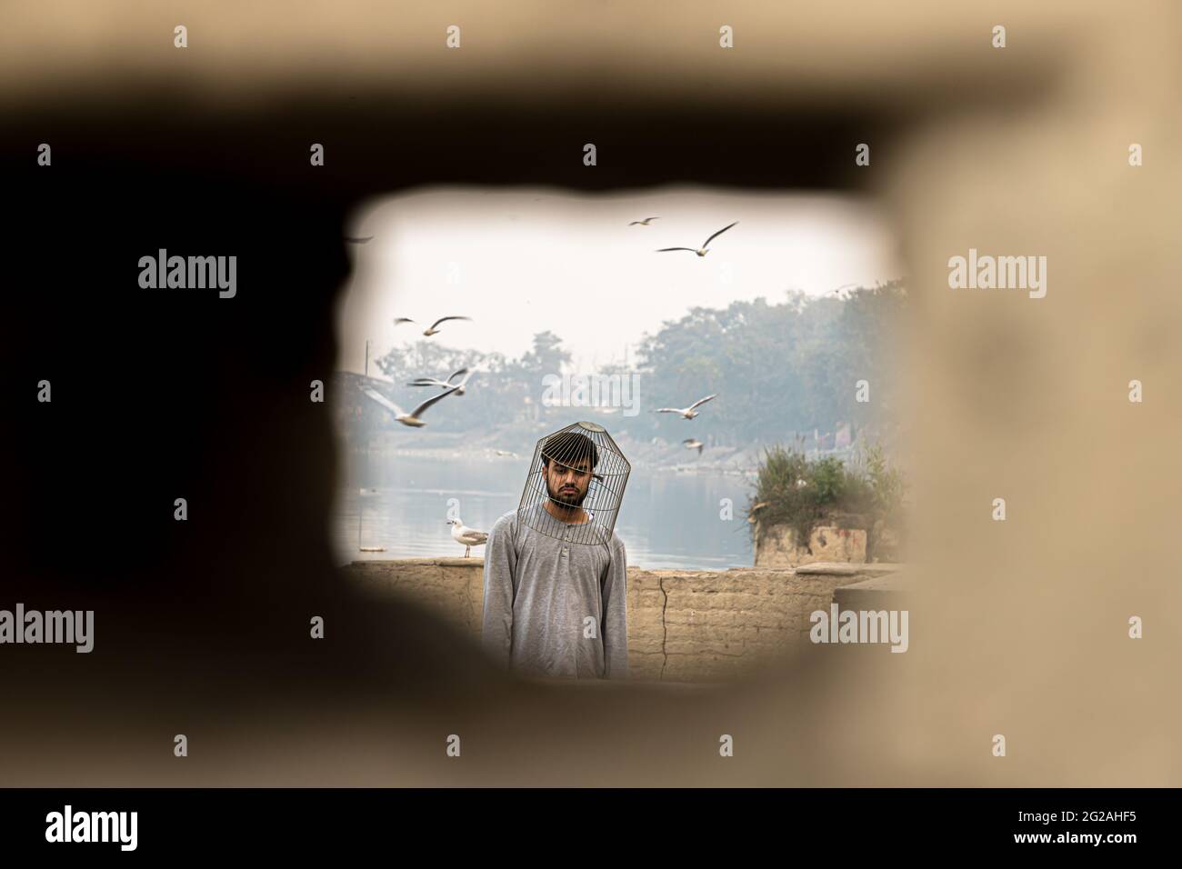 portrait of a boy trapped in a cage and sea gull flying in the background. Stock Photo