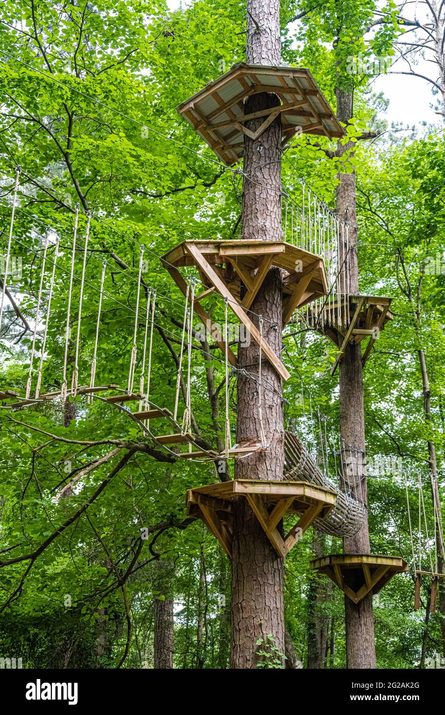 Screaming Eagle Aerial Adventures at Chattahoochee Nature Center in Roswell, Georgia. (USA) Stock Photo