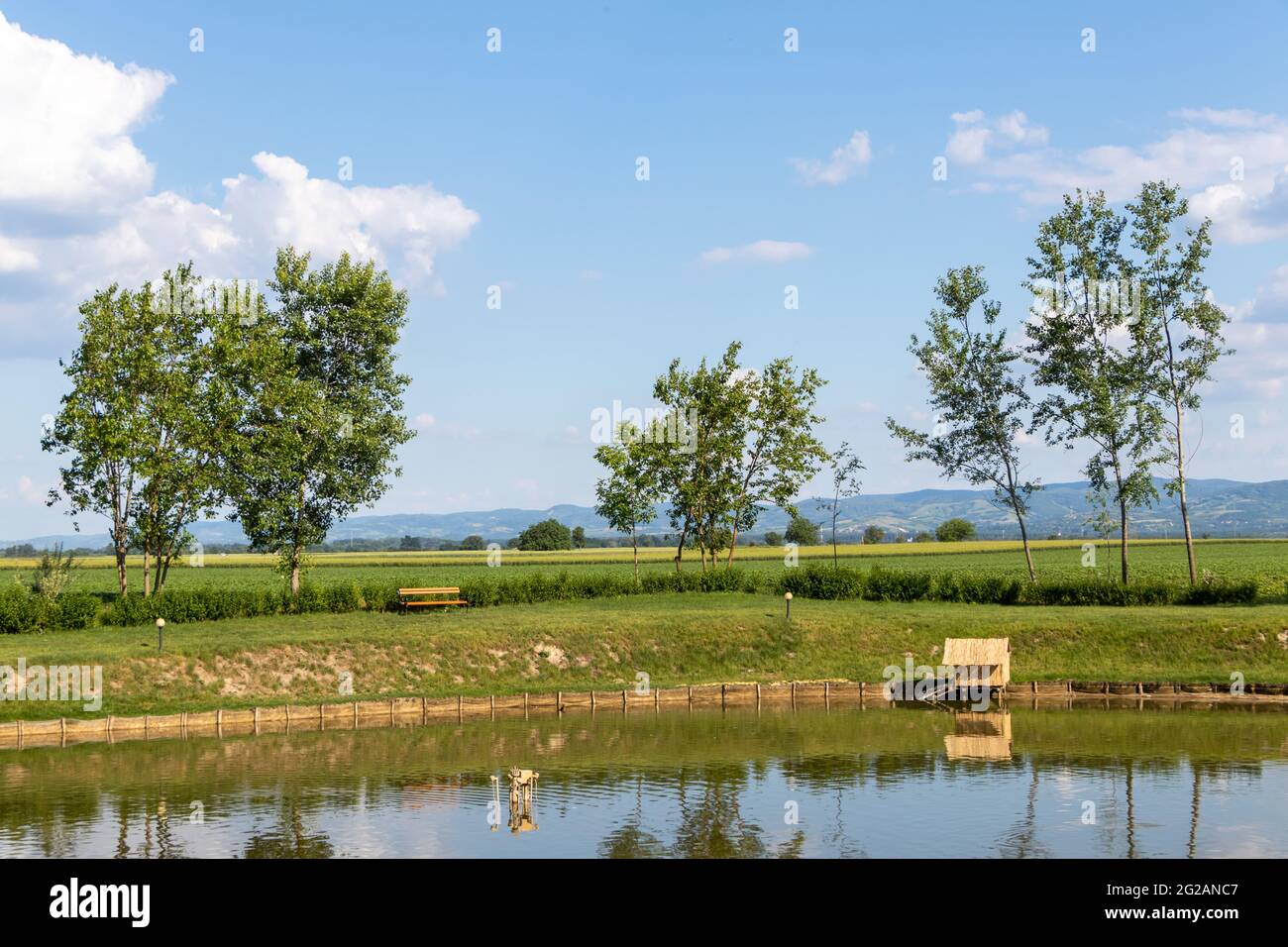 Ripe agricultural field at sunset, Vojvodina, Serbia stock photo