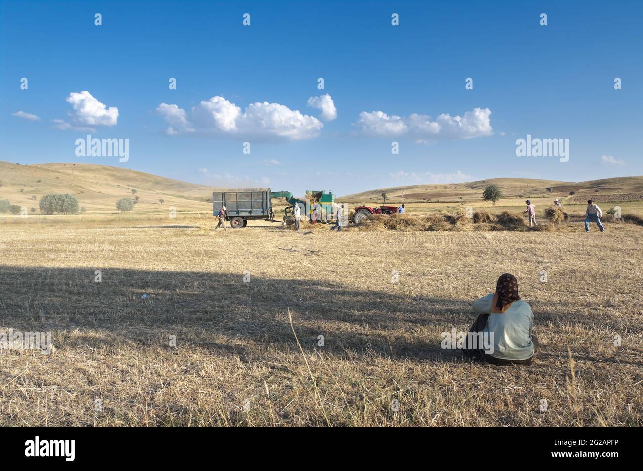 Turkey country farming hi-res stock photography and images - Alamy