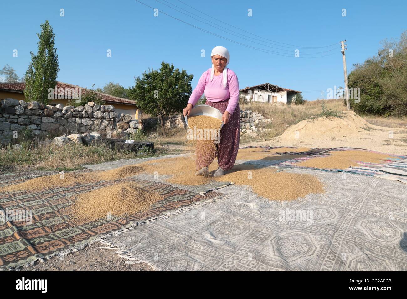 Bogazkale, Turkey - August 5, 2010: muslim woman is spreading cereal ...