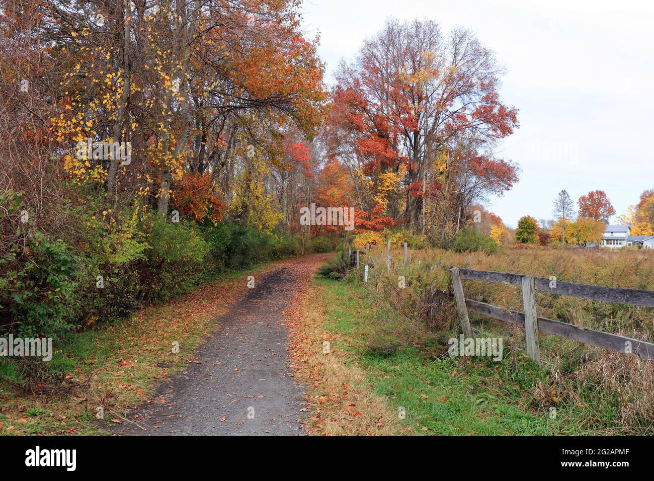 Empire State Trail, Wallkill Valley Rail Trail section north of New Paltz with autumn fall foliage, New York Stock Photo