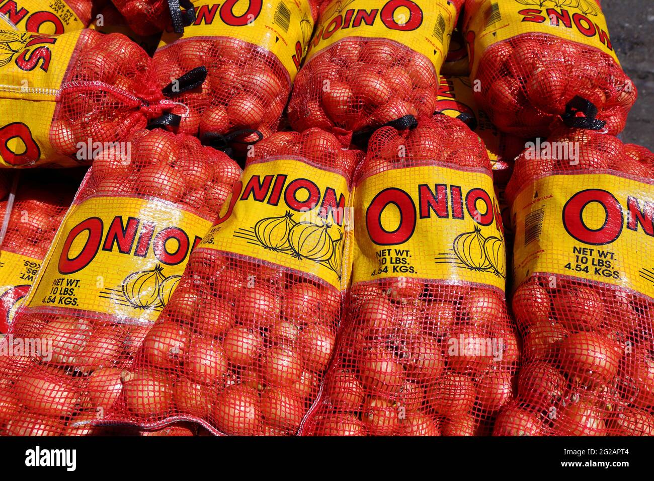 Ten pound bags of onions (Allium cepa) for food service Stock Photo