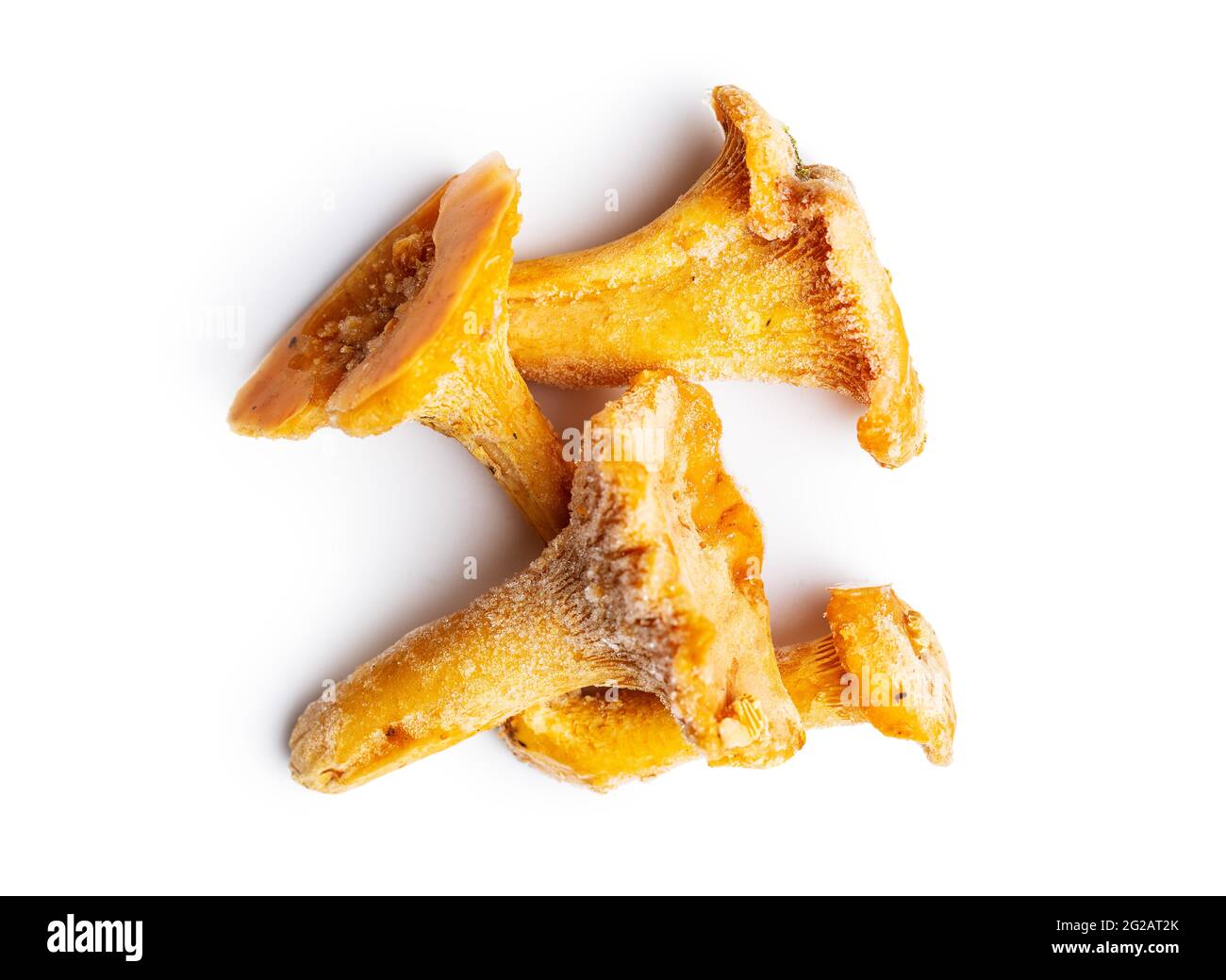 Frozen chanterelle mushrooms isolated on white background. Stock Photo