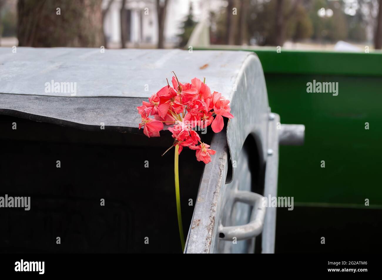 artificial pink flower in a garbage can on the street Stock Photo Alamy