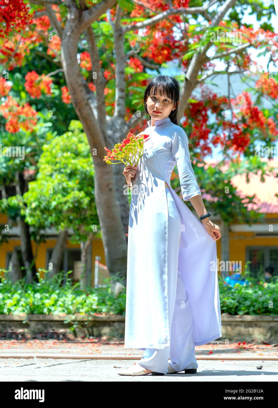 Schoolgirls in traditional long dress or Ao Dai uniform posing with flowers  phoenix school yard mark time students remain timeless in Long An, Vietnam  Stock Photo - Alamy