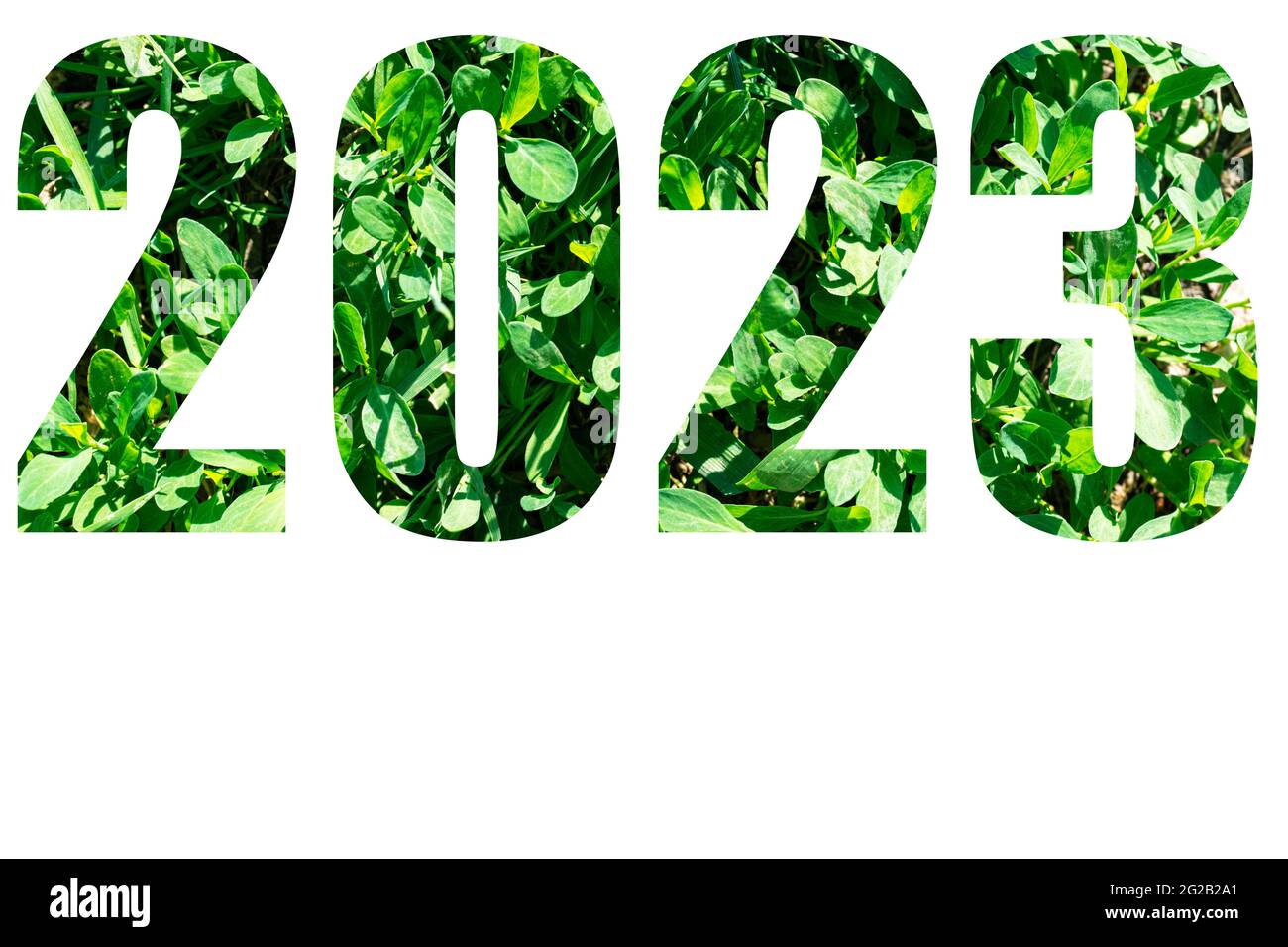 New Year card. Numbers of the year 2023 from green grass isolated on white background. Elements for your design. Stock Photo
