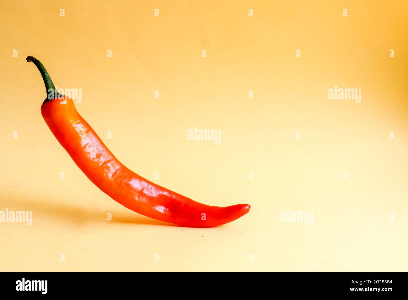 Single chili pepper on yellow background, creative minimalism concept with copy space. Stock Photo