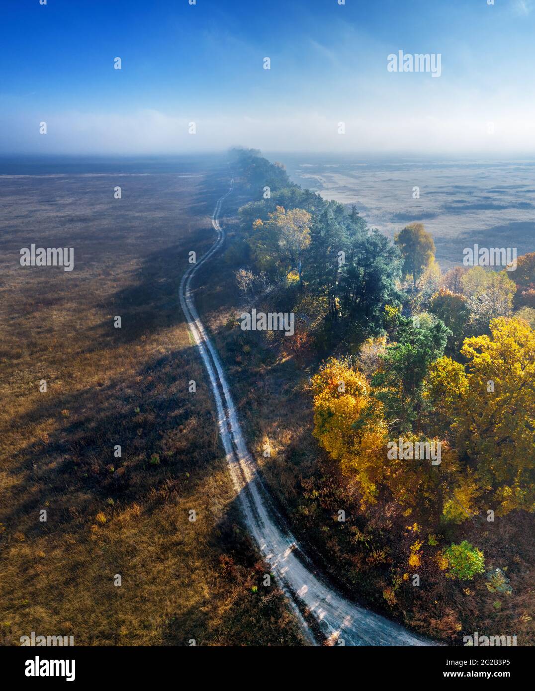 The road passing between autumn fields and forest belts. Aerial view. Nature autumn background. Stock Photo