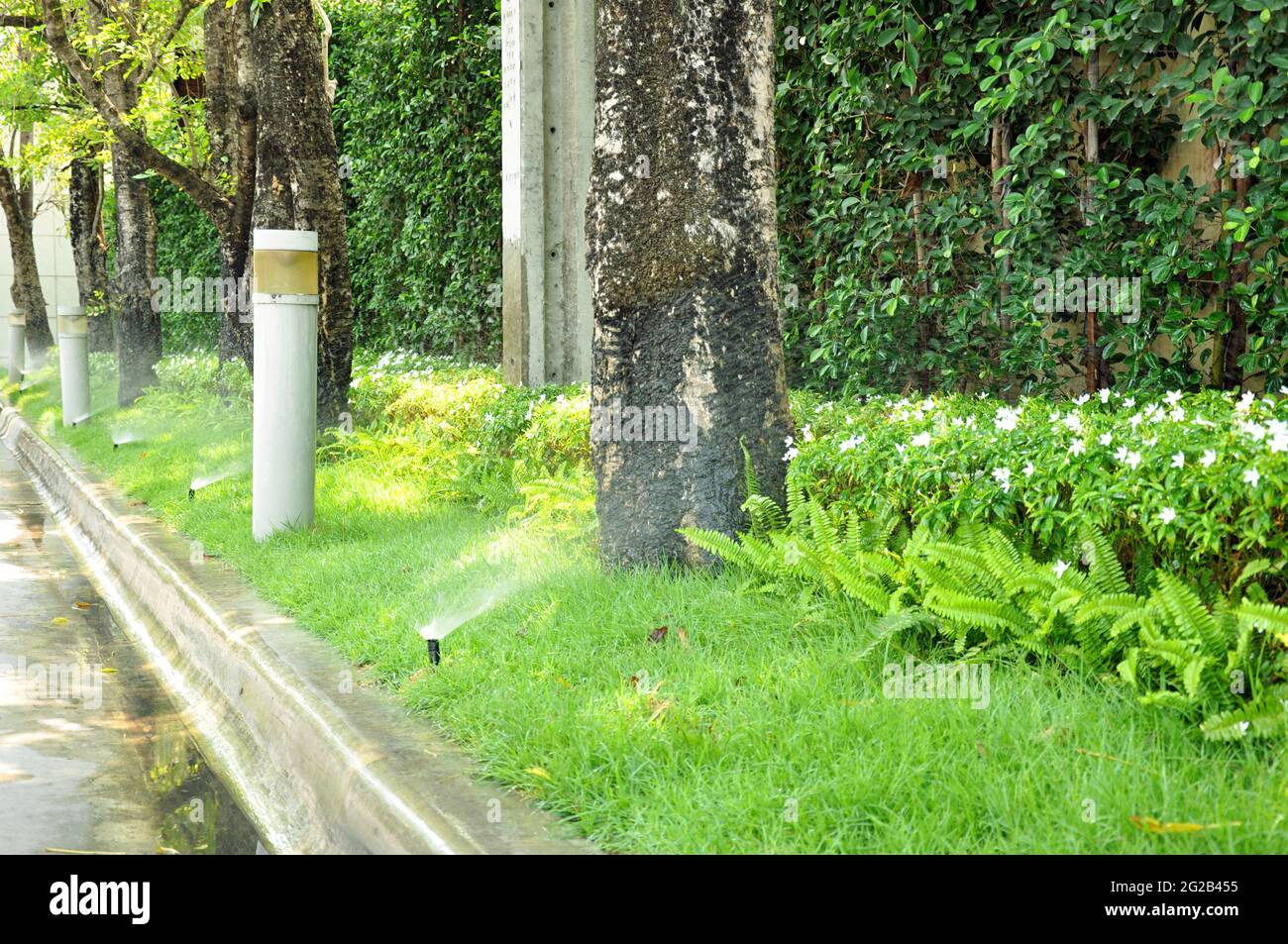 Sprinklers in the garden Stock Photo