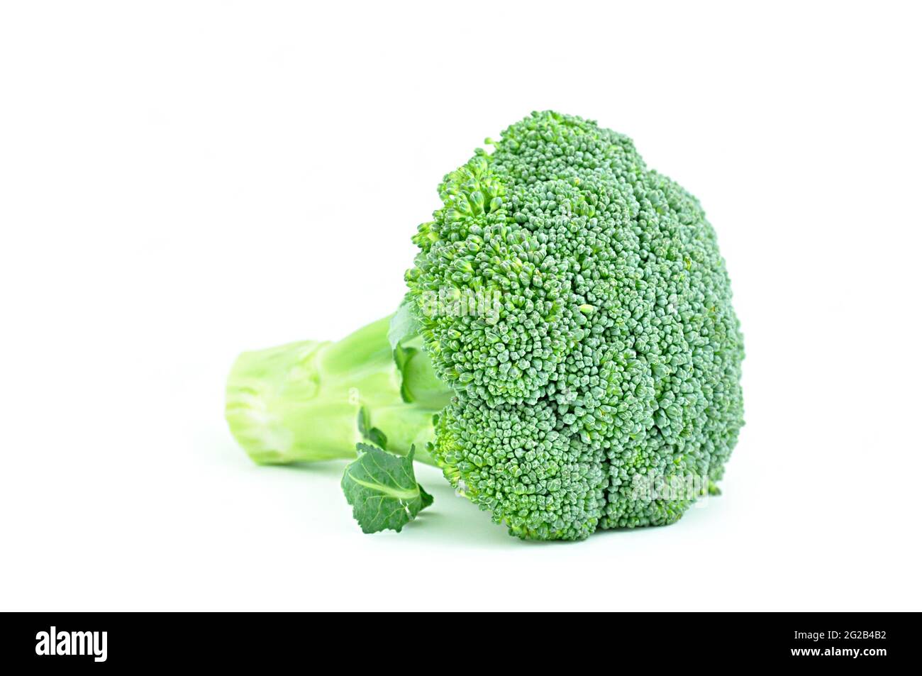 Broccoli isolated on white background Stock Photo