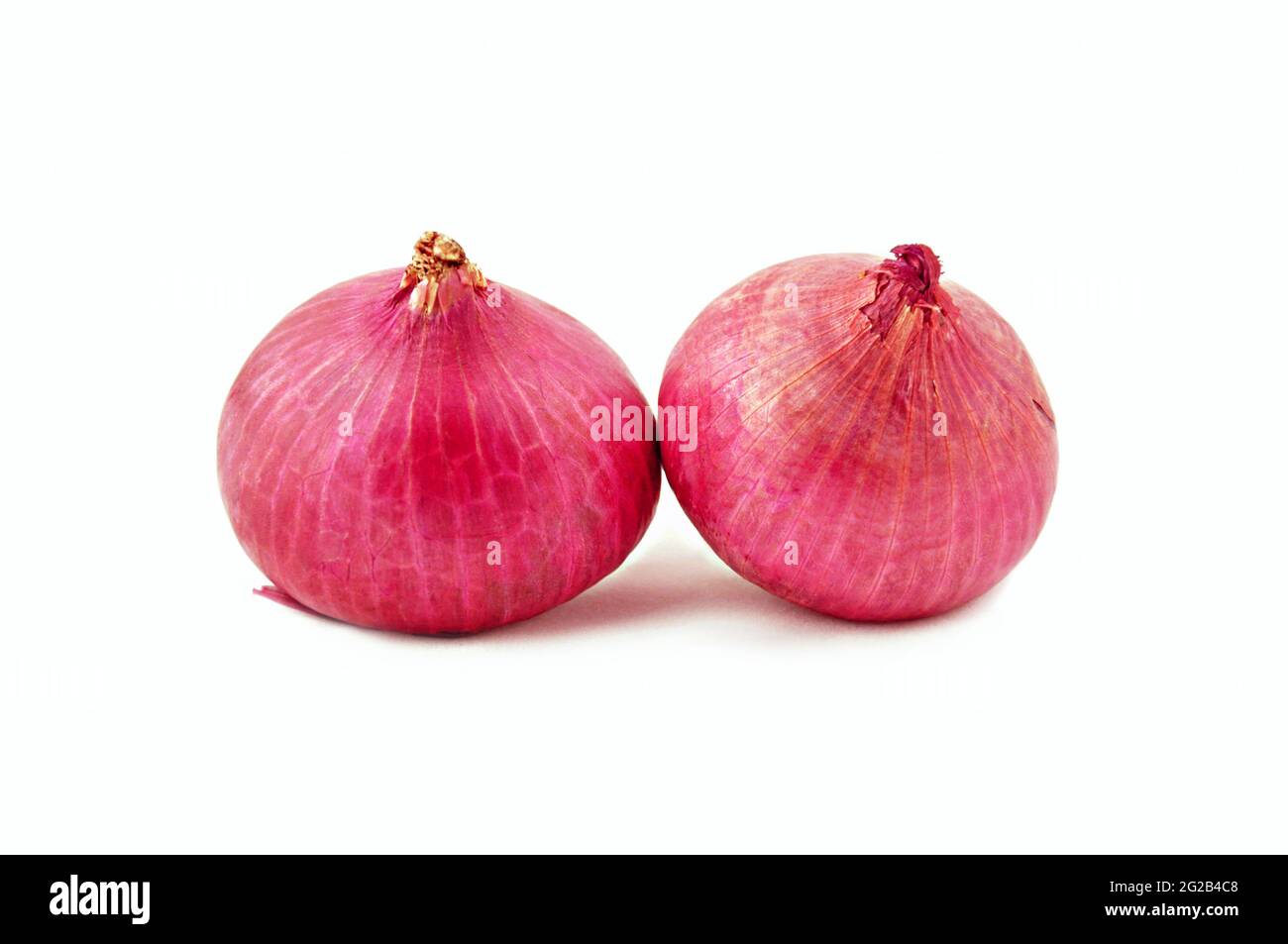 Red onions on white background Stock Photo