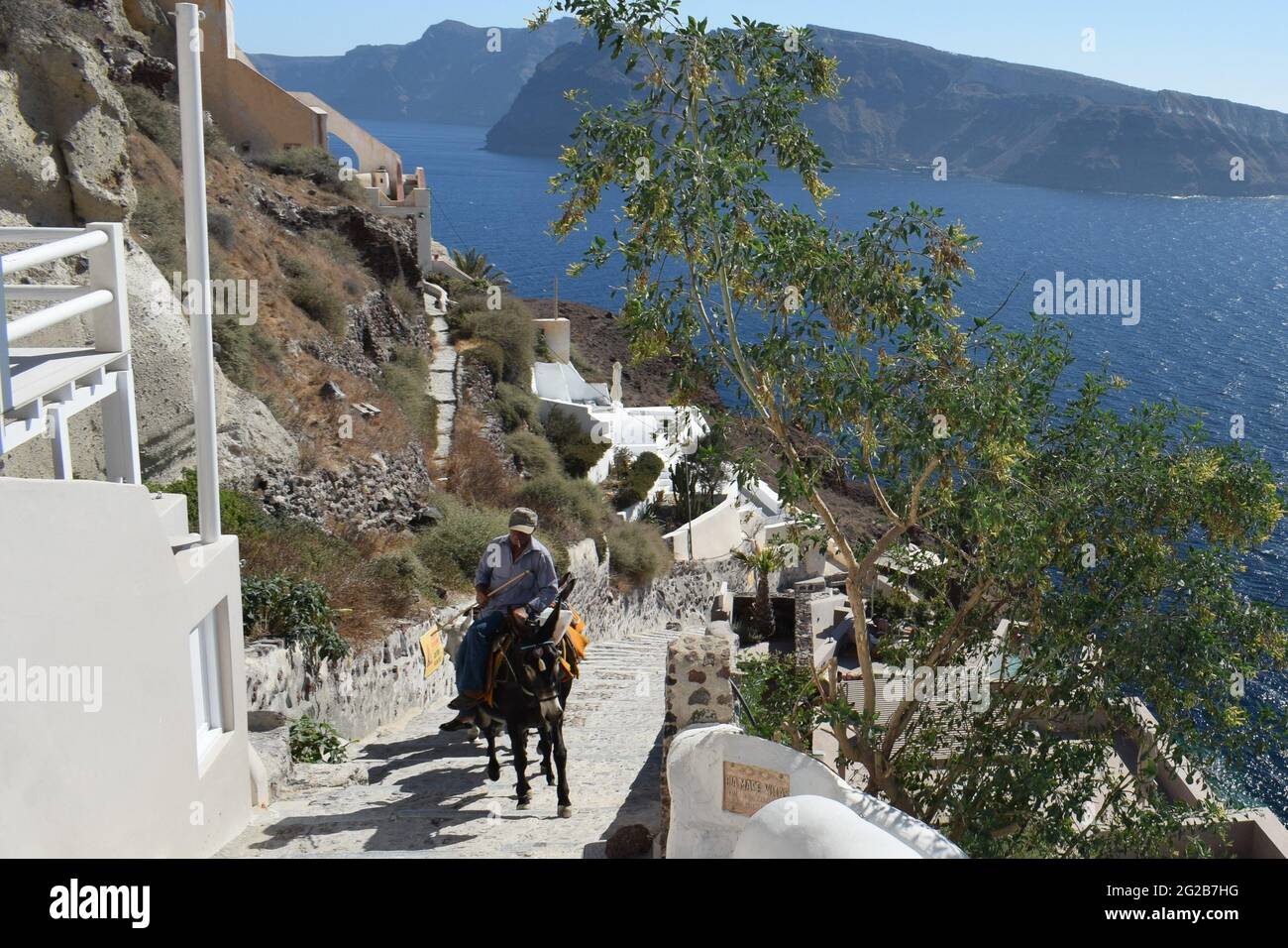 Donkey climbing up steep track on Santorini Stock Photo