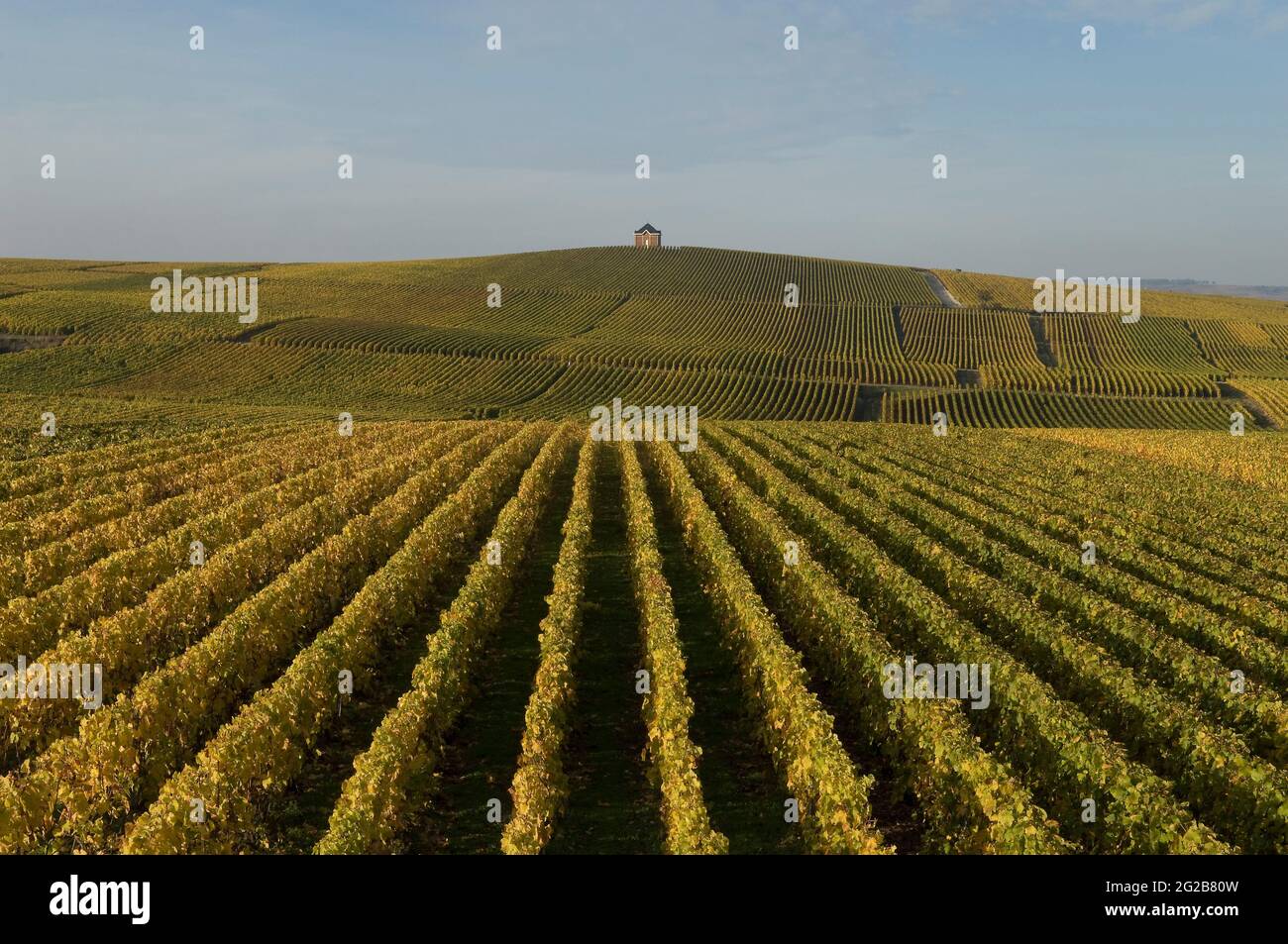 FRANCE. GRAND-EST. MARNE (51) THE ROAD OF CHAMPAGNE (COTE DES BLANCS) Stock Photo