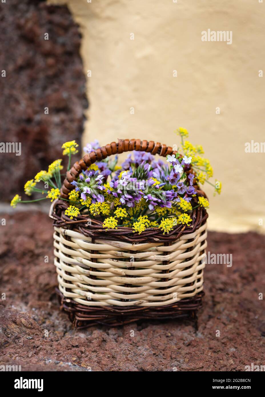 Still life with a bouquet of wild summer flowers in a wicker basket ...