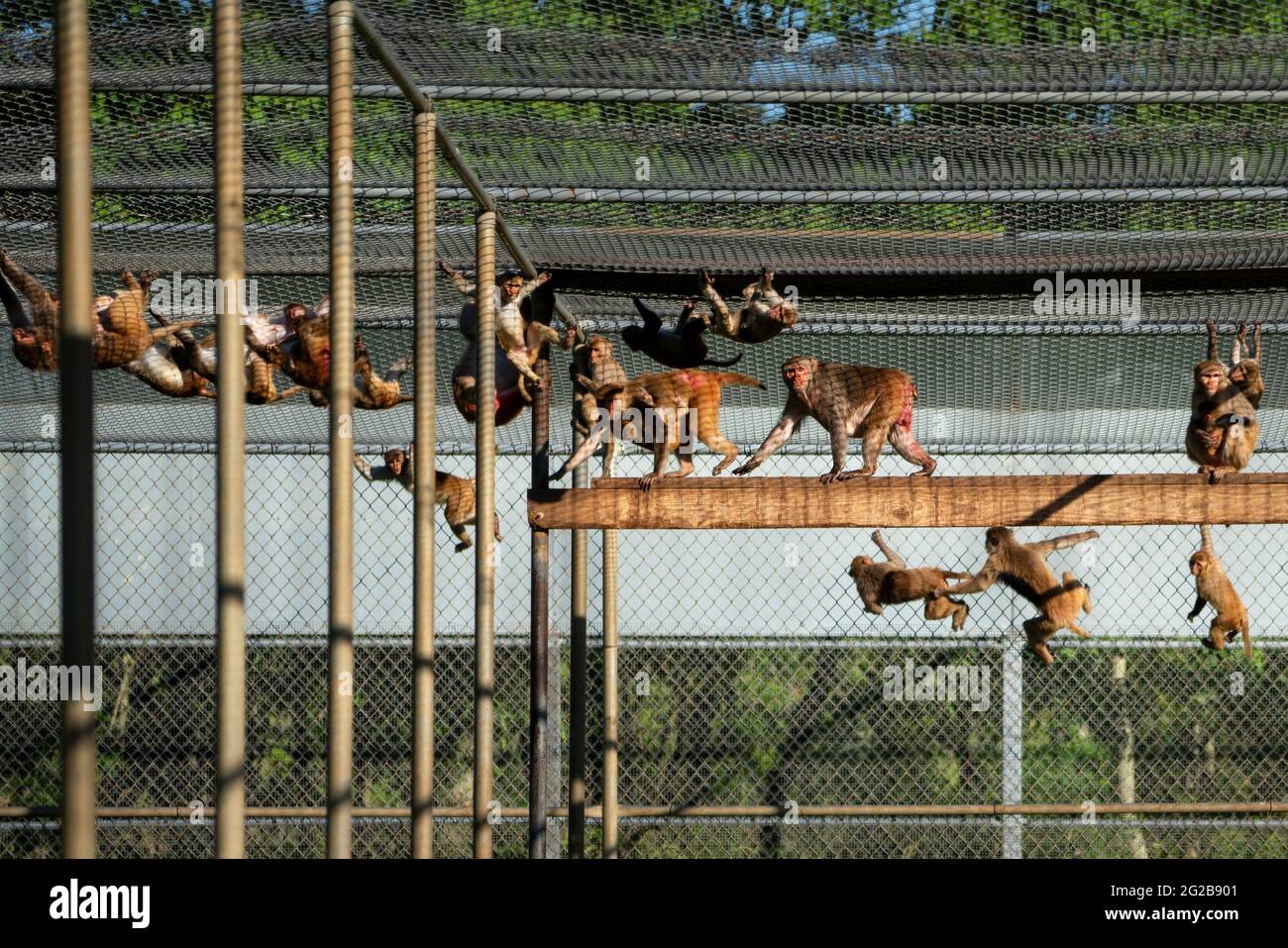 Louisiana covington hires stock photography and images Alamy