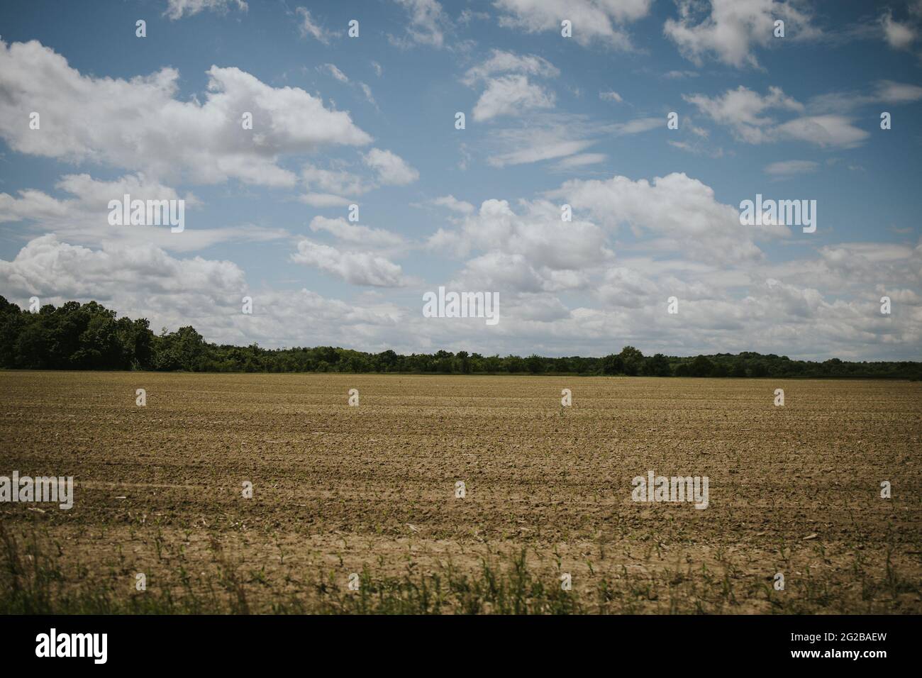Agricultural field under the cloudy sky Stock Photo - Alamy