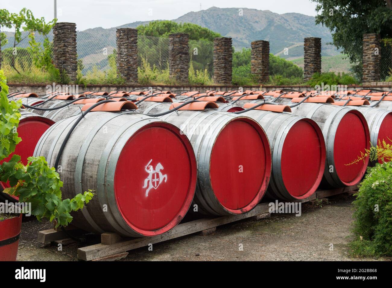 Banyuls sur Mer (south of France): Banyuls and Collioure wine producer 'Terre des Templiers” Stock Photo