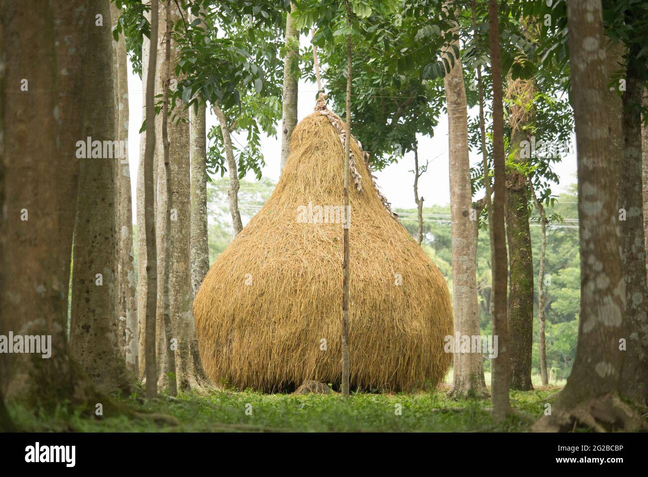 A small straw turn Stock Photo