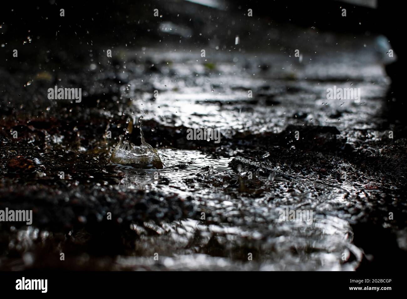 Monsoon rain water with raindrops dropping in the water during evening. Used selective focus. Stock Photo