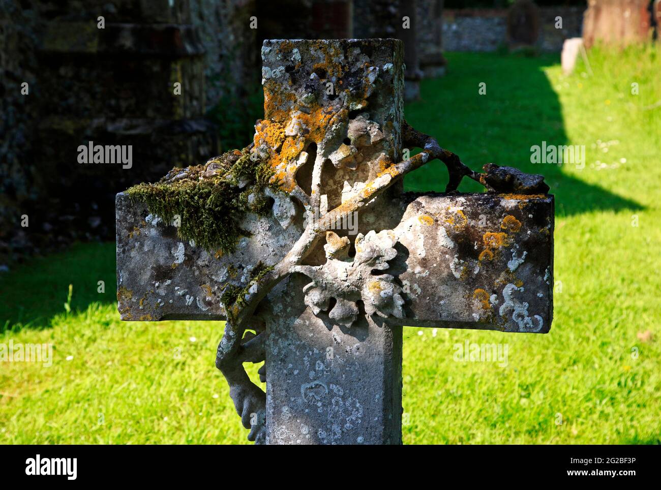 A headstone in the shape of a cross with vine decoration and covered in lichens and mosses at the village Church in Irstead, Norfolk, England, UK. Stock Photo