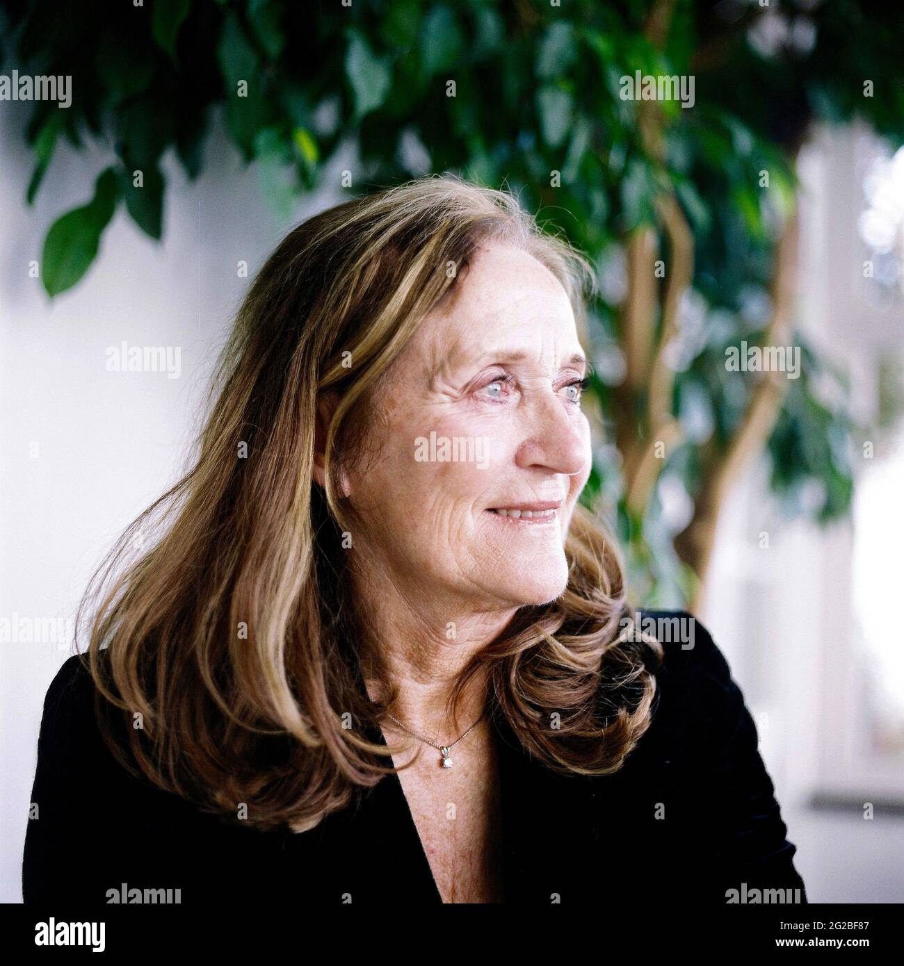 Jill Stein, exwife of TV chef Rick Stein Stock Photo Alamy
