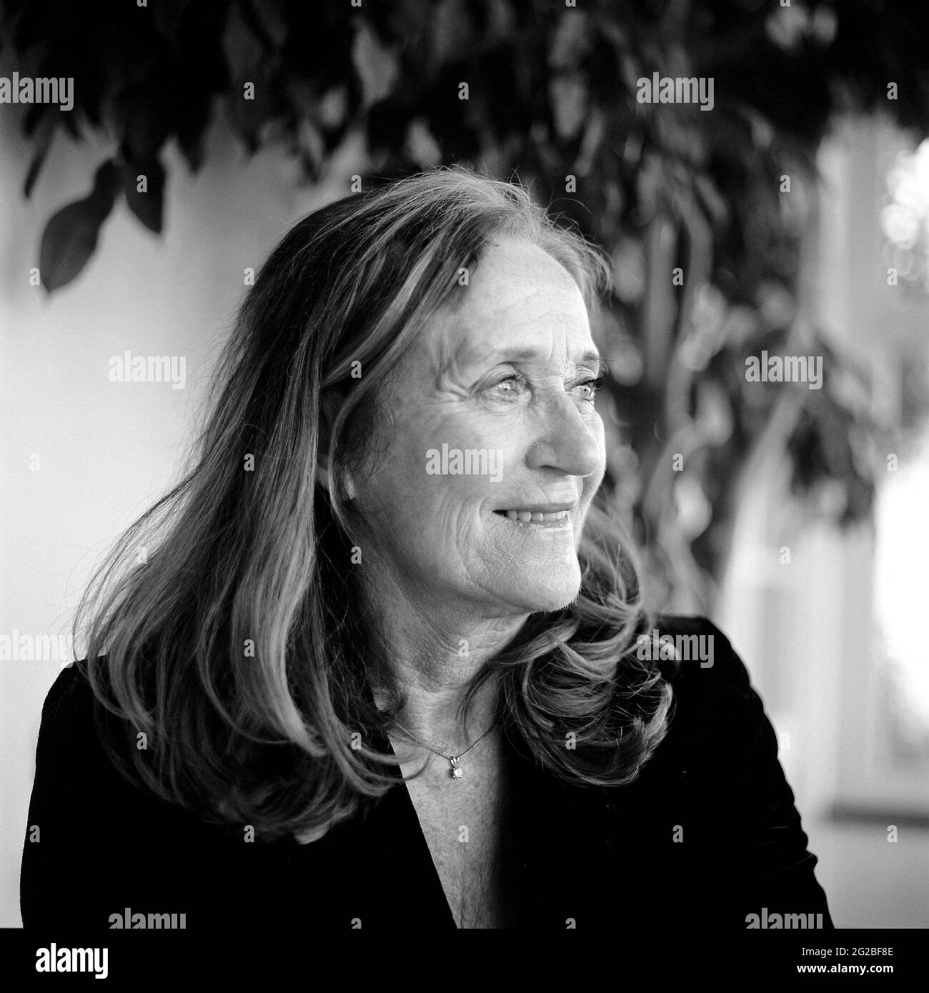 The seafood restaurant padstow Black and White Stock Photos & Images