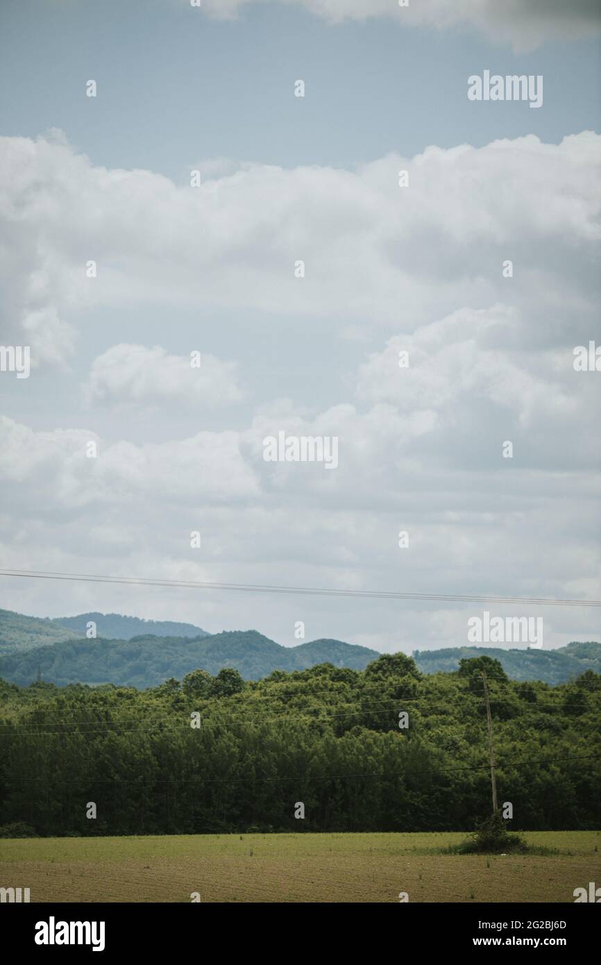 Vertical shot of an agricultural field surrounded by trees on a cloudy ...